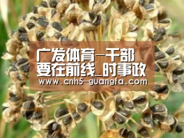 广发体育-干部要在前线_时事政治_中公教育网(图2) 广发体育