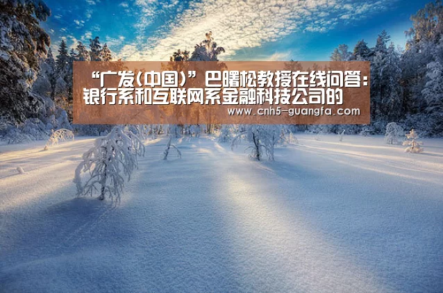 “广发(中国)”巴曙松教授在线问答:银行系和互联网系金融科技公司的优劣势有哪些?(图3) 广发(中国)