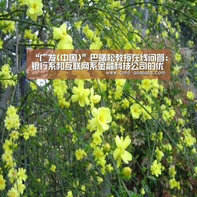 “广发(中国)”巴曙松教授在线问答:银行系和互联网系金融科技公司的优劣势有哪些?(图1) 广发(中国)