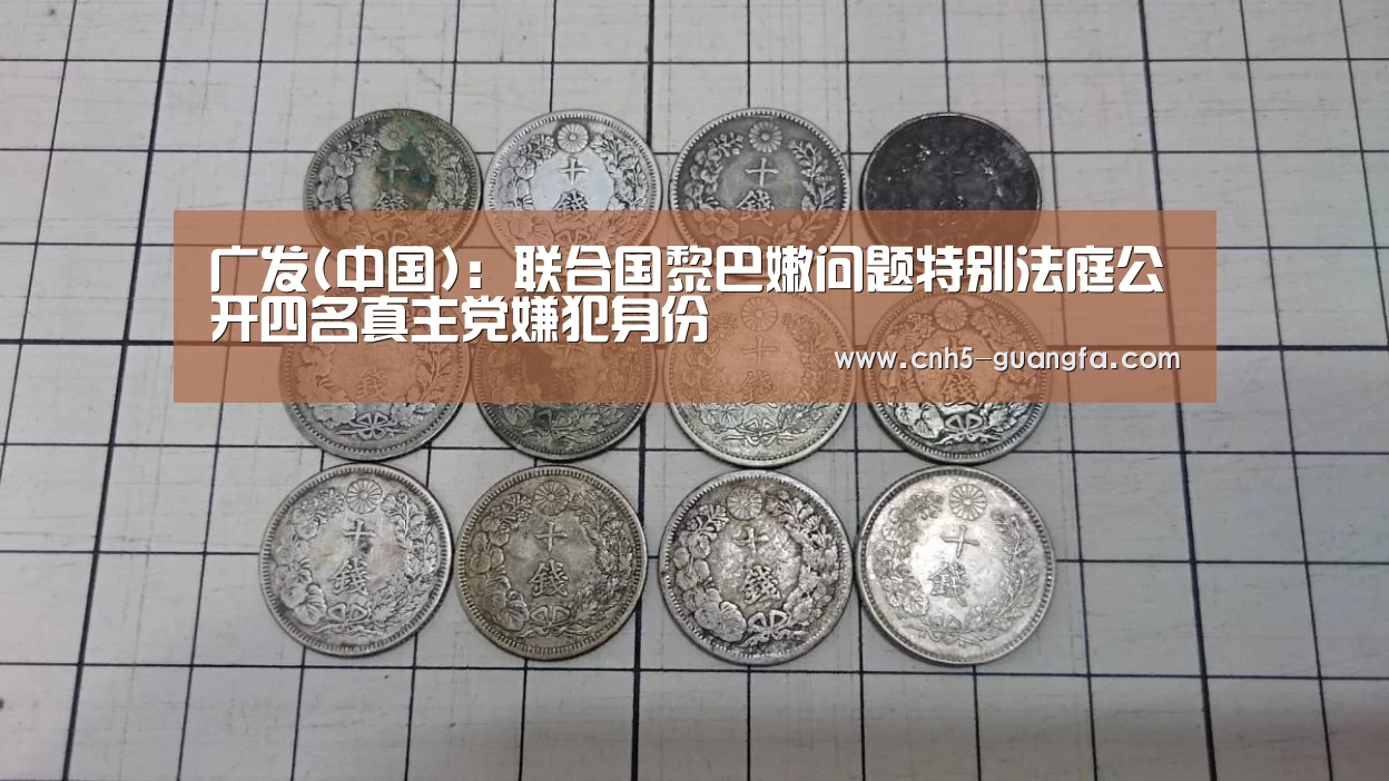 广发(中国):联合国黎巴嫩问题特别法庭公开四名真主党嫌犯身份(图2) 广发(中国)