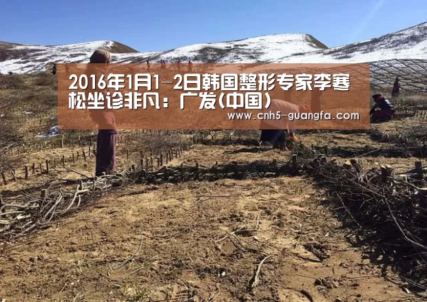 2016年1月1-2日韩国整形专家李寒松坐诊非凡:广发(中国)(图2) 广发(中国)