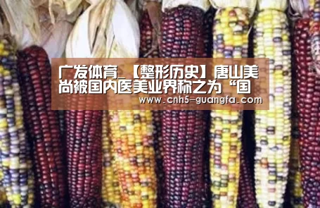 广发(中国)