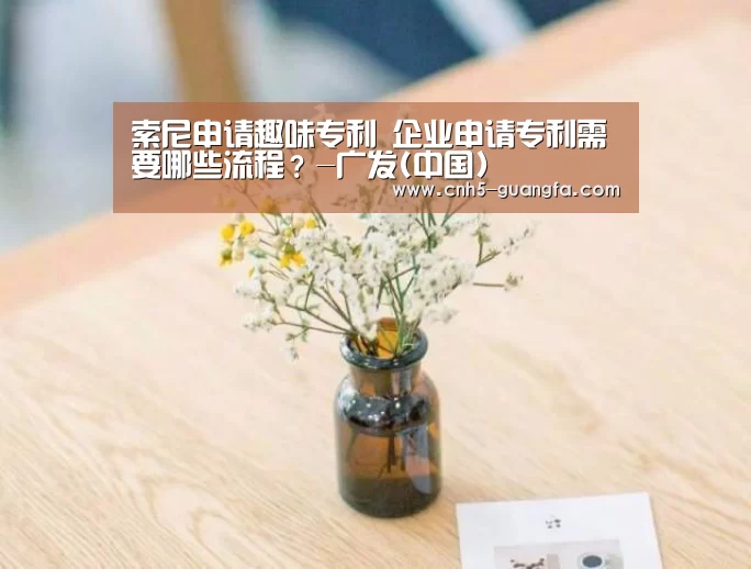 索尼申请趣味专利 企业申请专利需要哪些流程?-广发(中国)(图1) 广发(中国)